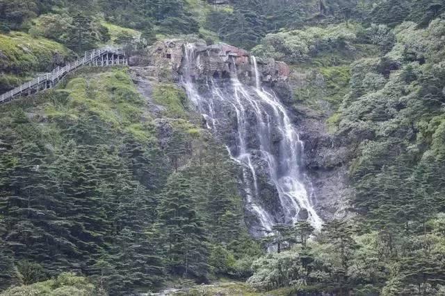厉害了我的巧虎8